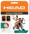 Head Evolution Pro